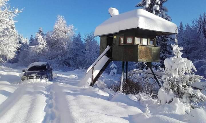 Apartman Gomirje Vrbovsko Dış mekan fotoğraf