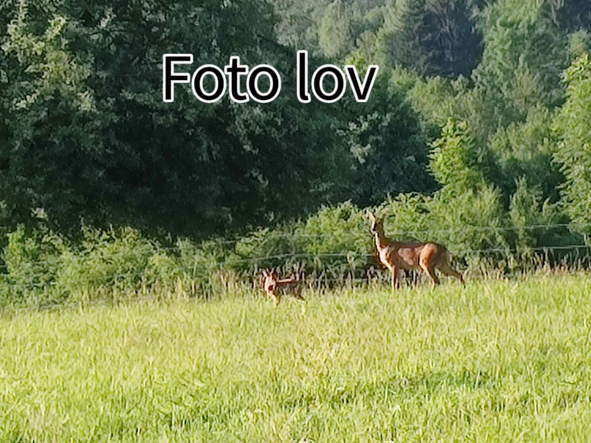 Apartman Gomirje Vrbovsko Dış mekan fotoğraf